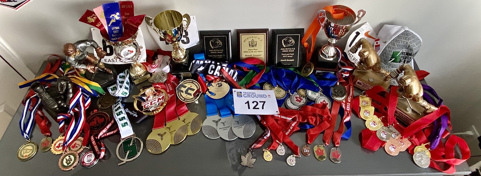 large collection of medals plaques and trophies